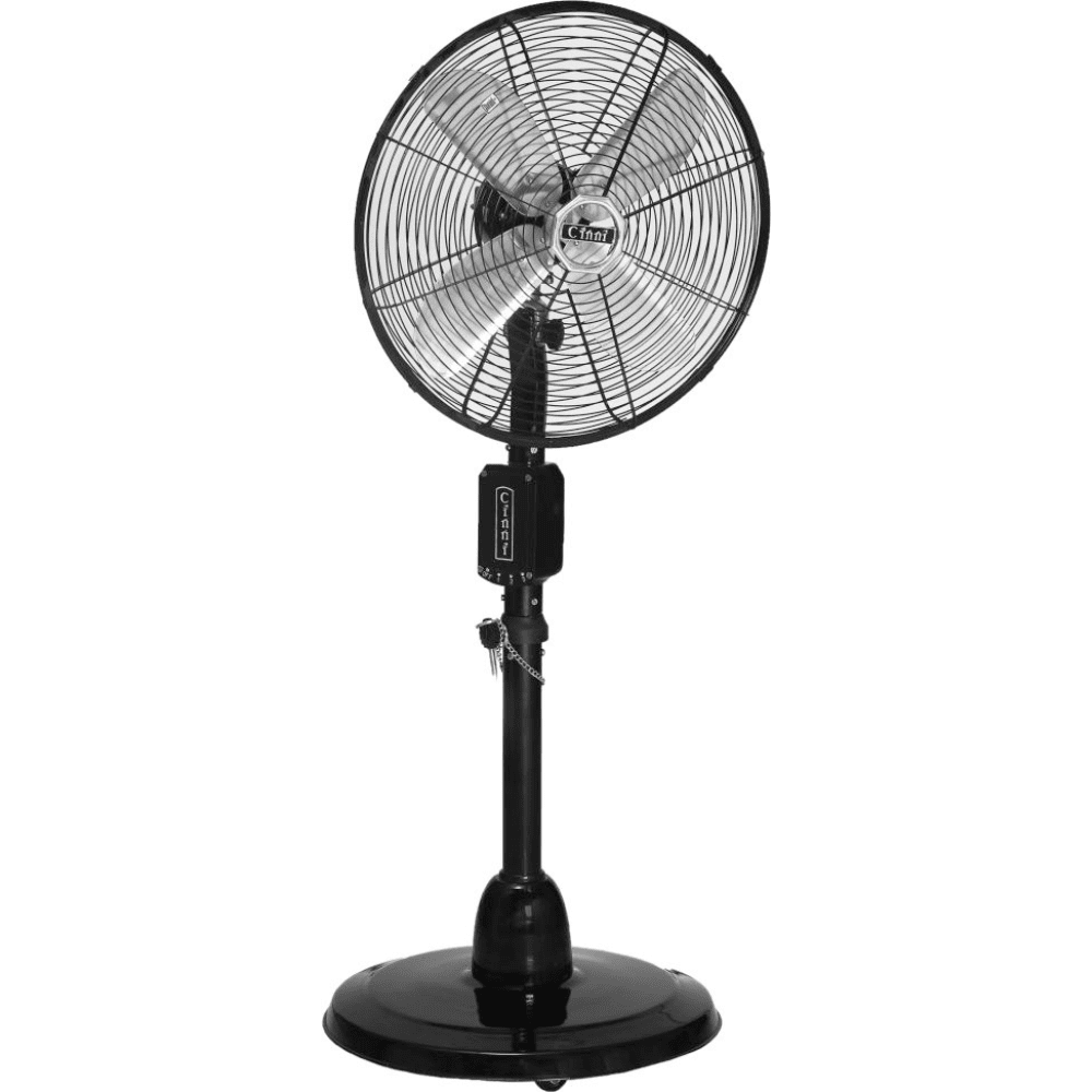 Untitled design - 2024-06-08T034610.602