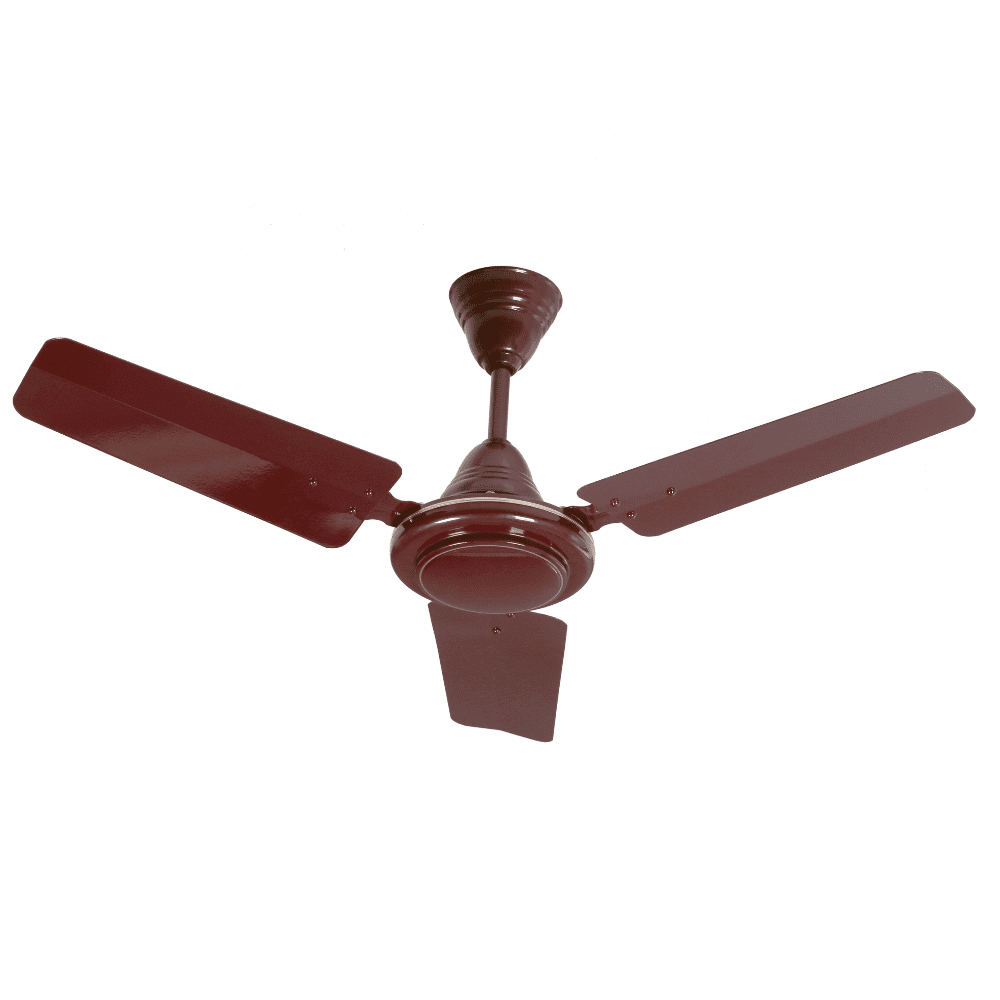 Untitled design - 2024-06-08T034846.616